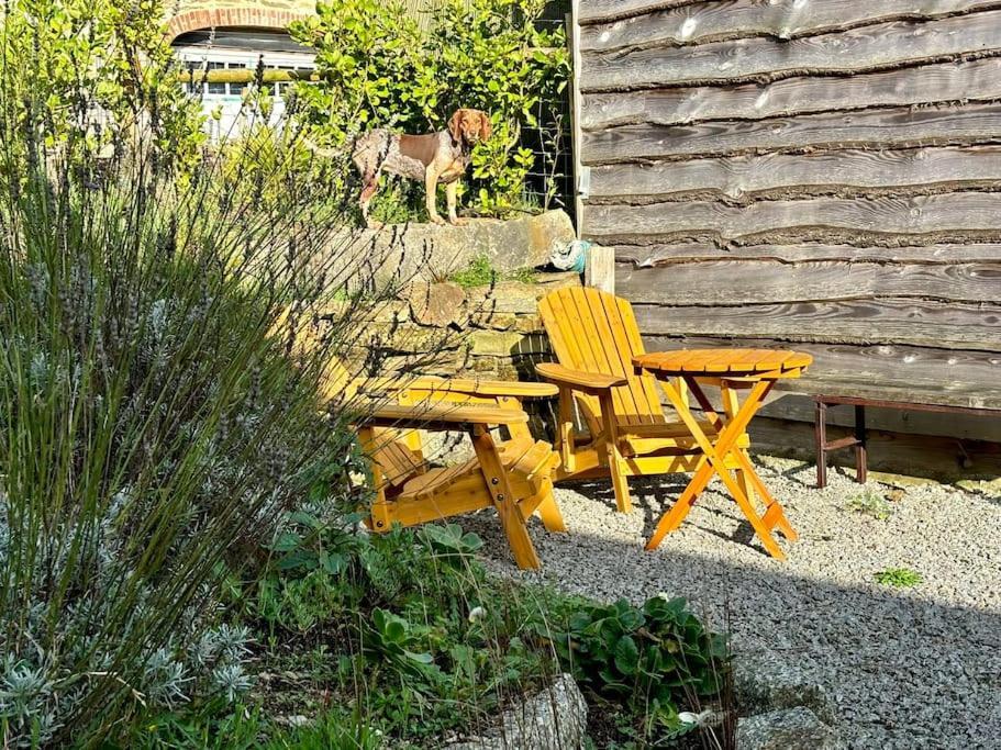 Little Bream - Pretty Cosy Cottage, Sea Views, Walk To The Beach Mawnan Smith المظهر الخارجي الصورة